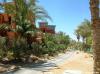 Hotel Sheraton Miramar Resort El Gouna 7576